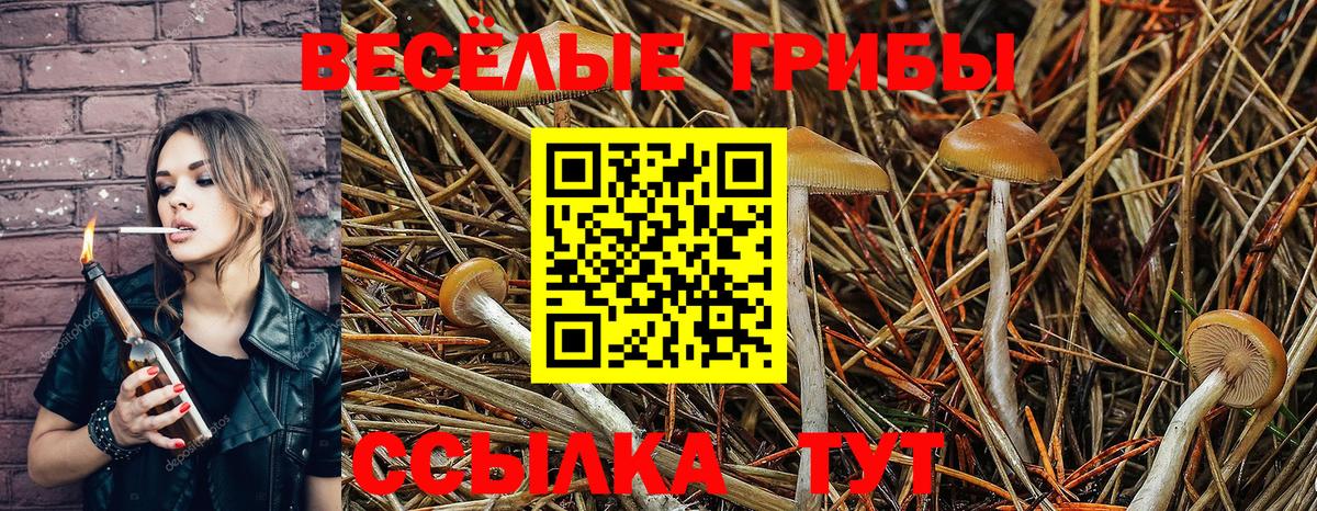 Галлюциногенные грибы Cubensis  Вход с VPN  Гагарин  Галлюциногенные грибы ЛСД 