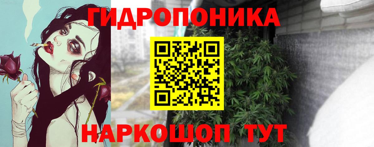 Каннабис семена  Бошки марихуана план  Вход с VPN  Марихуана марихуана  Гагарин 